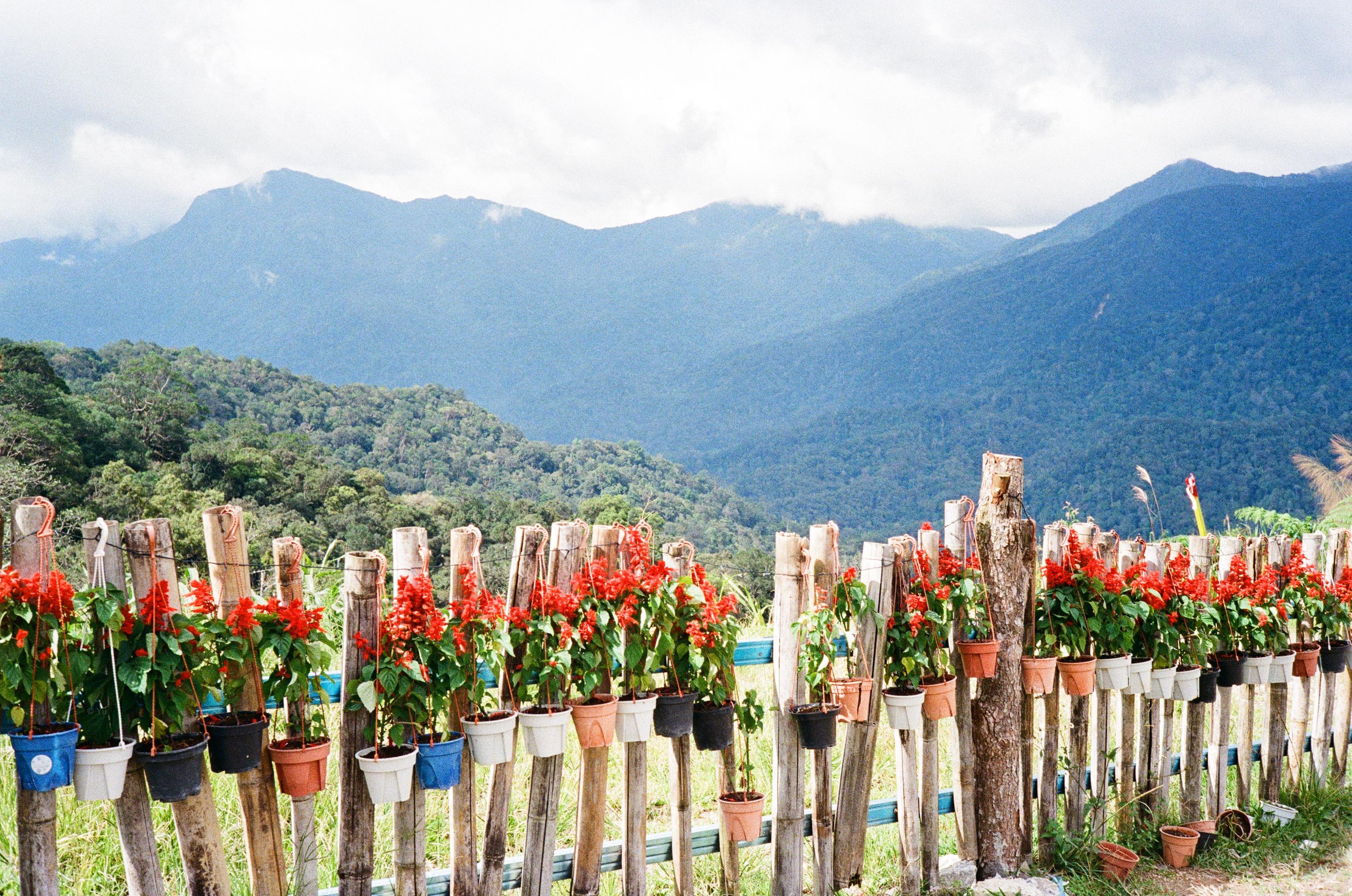 image from Malaysia (Color)