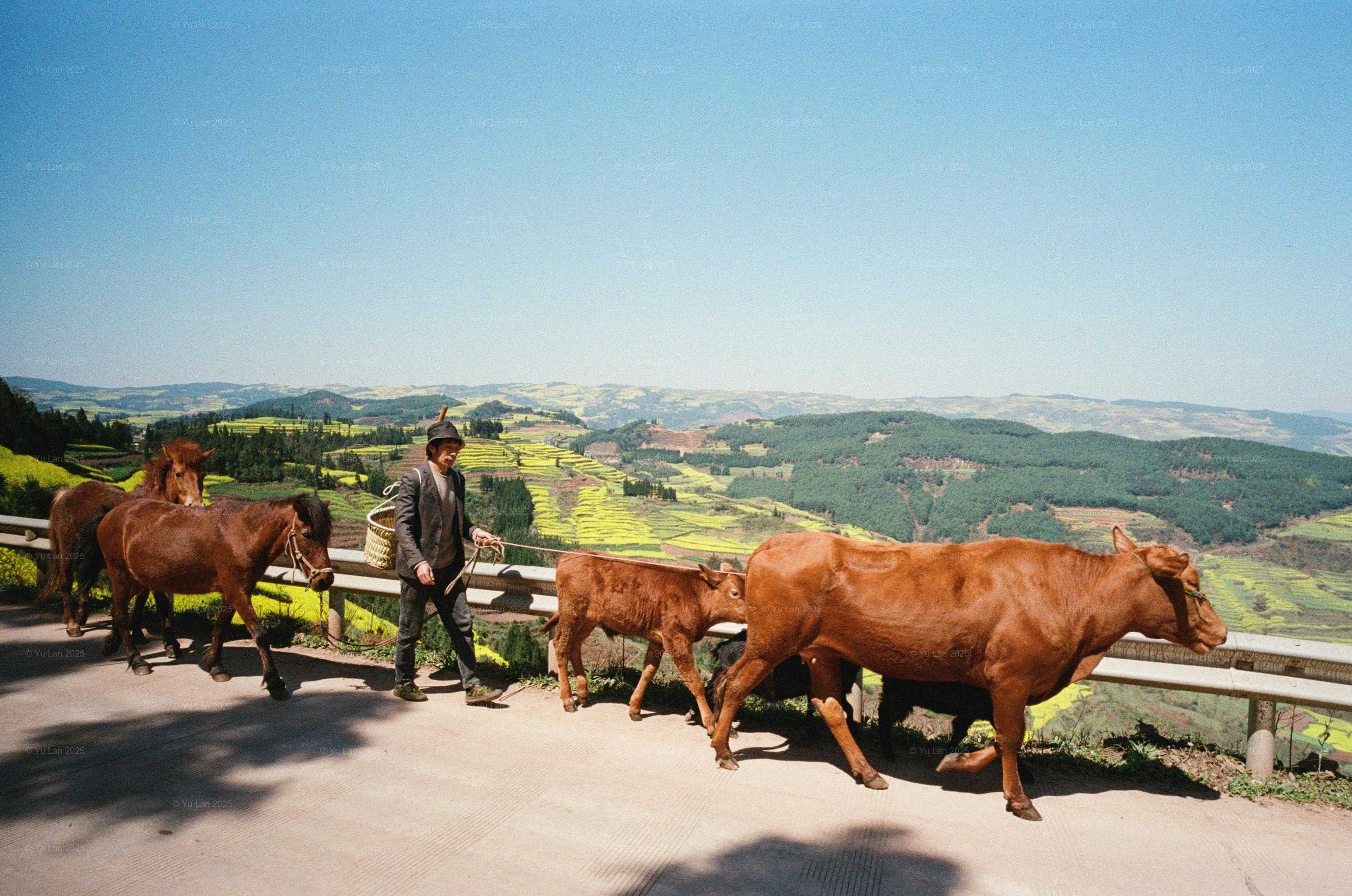 image from Yunnan (Color)